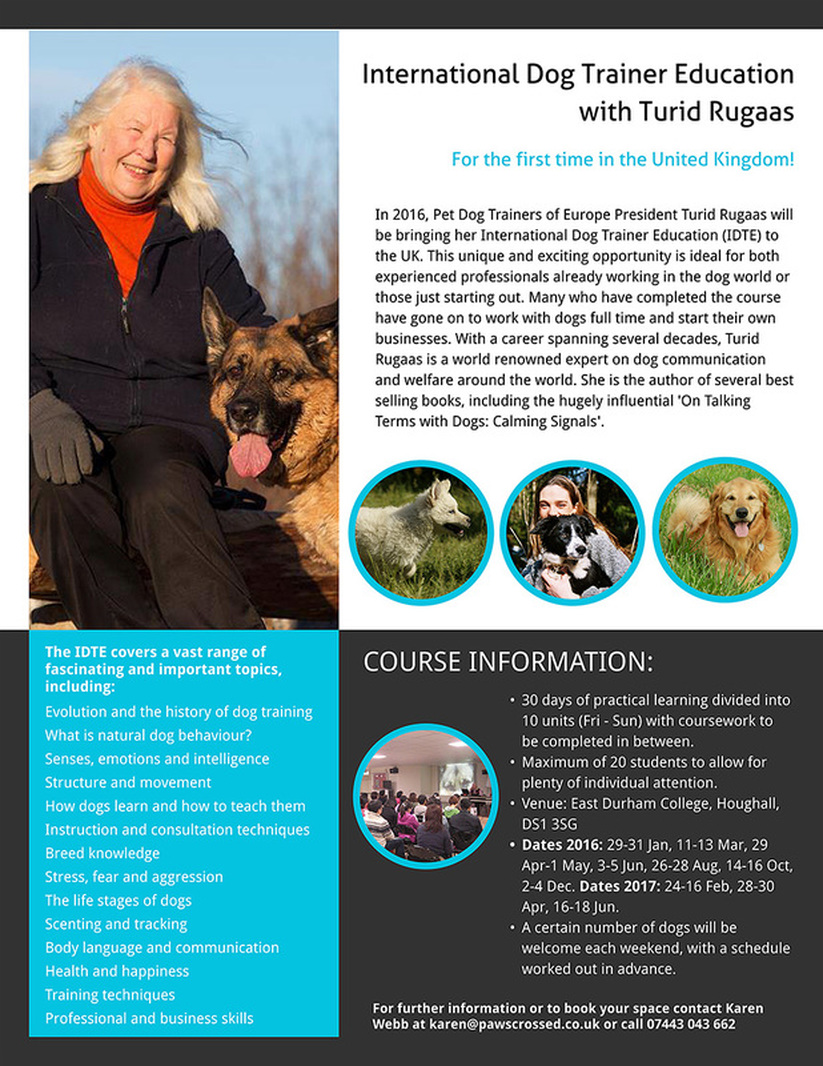 Dog Trainer Education